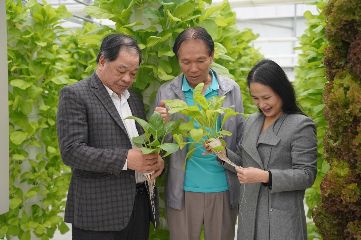 Chuyển đổi mô hình tăng trưởng nông nghiệp theo hướng xanh, số, tuần hoàn