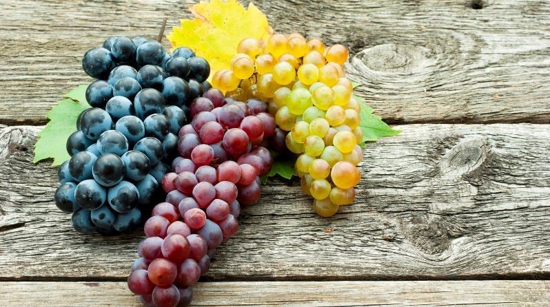 Nho tươi chứa hơn 1.600 hợp chất giúp tăng cường sức khỏe não bộ, tim mạch và đường ruột