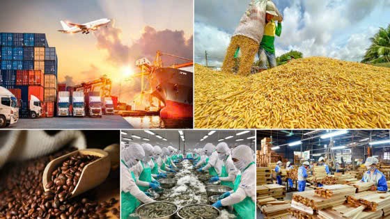 Siết chặt quản lý thực phẩm nhập khẩu vào Trung Quốc: Doanh nghiệp Việt cần chủ động thích ứng