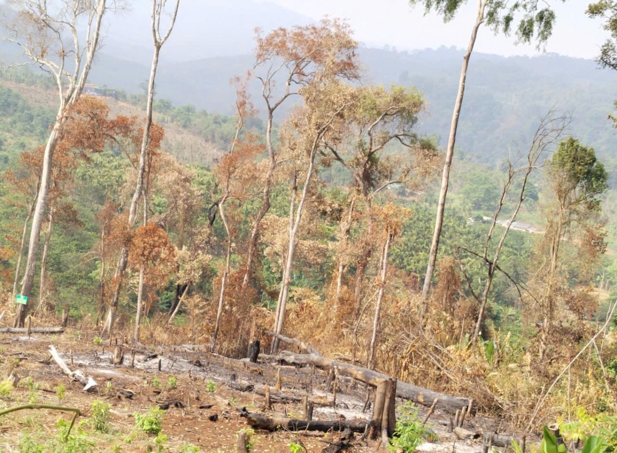 Tăng cường triển khai các biện pháp phòng cháy, chữa cháy rừng trong cao điểm nắng nóng