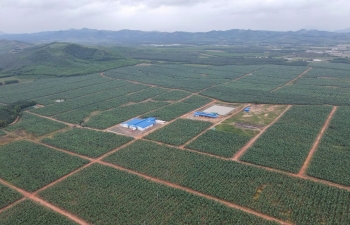 KD Green Farm đặt “nền móng” vững chắc cho nông nghiệp công nghệ cao trên đại ngàn Tây Nguyên