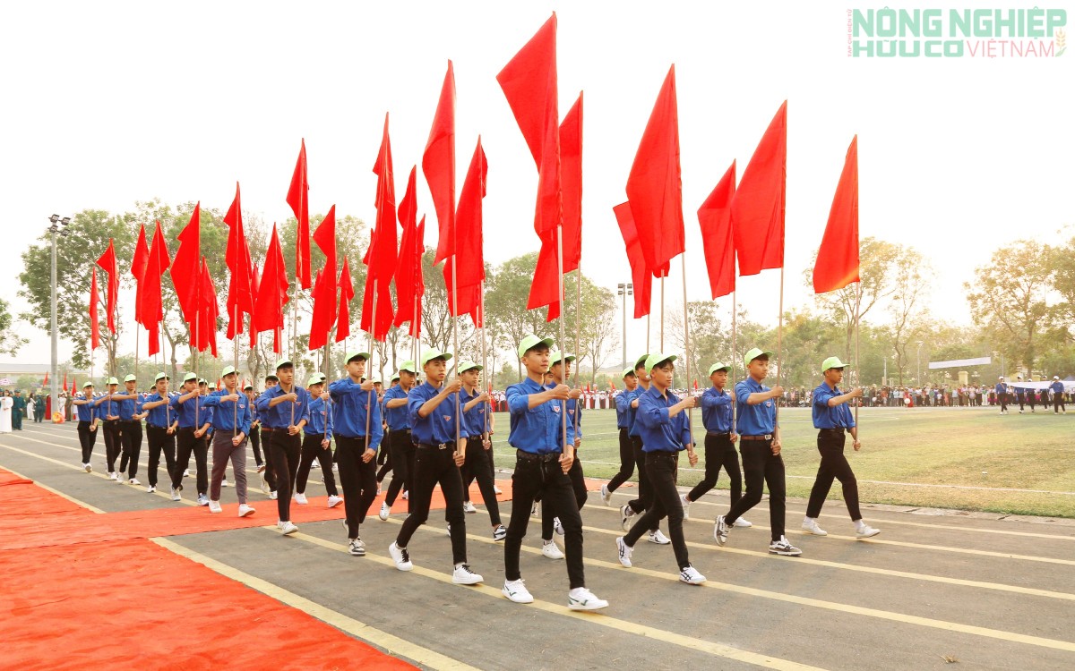 Khai mạc Đại hội Thể dục Thể thao xã Tam Đồng, lần thứ nhất năm 2026