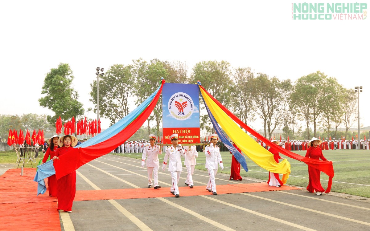 Khai mạc Đại hội Thể dục Thể thao xã Tam Đồng, lần thứ nhất năm 2026 Khai mạc Đại hội Thể dục Thể thao xã Tam Đồng, lần thứ nhất năm 2026