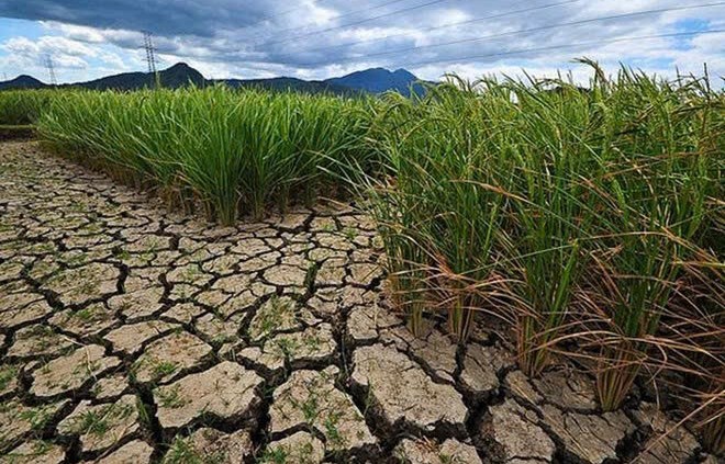 Bộ Nông nghiệp và Môi trường cảnh báo nguy cơ thiếu hụt nguồn nước do El Nino