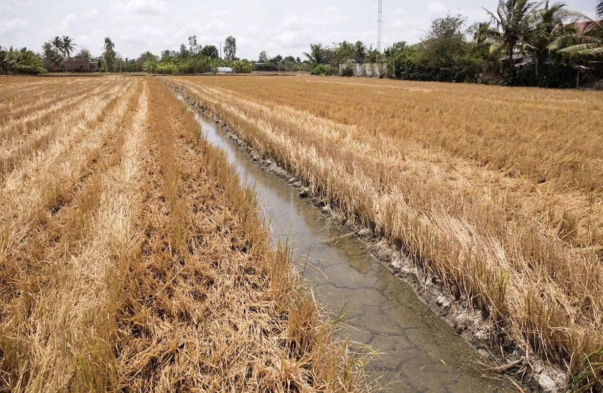 dong bang song cuu long buoc vao dot xam nhap man tang cao co noi lan sau tren 60km