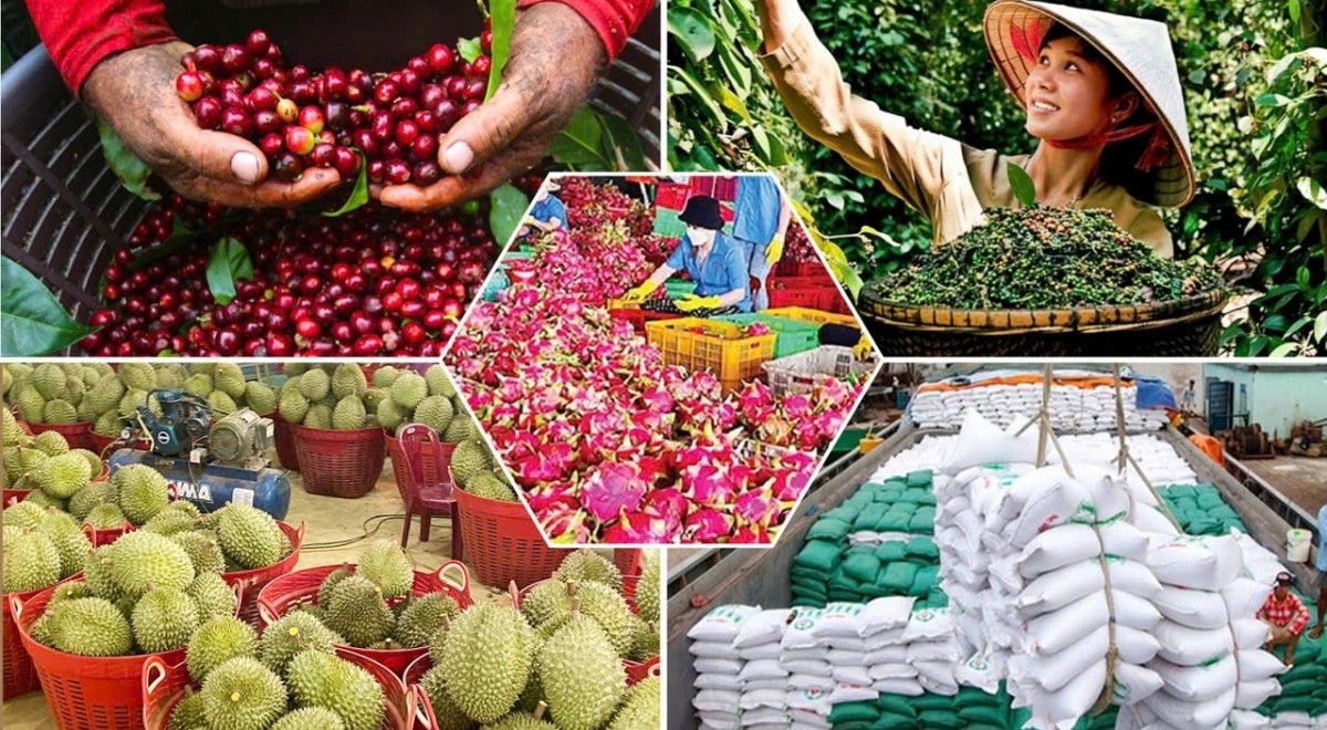 xuat khau rau qua vuot 2 ty usd sau 4 thang tang toc huong moc 10 ty usd