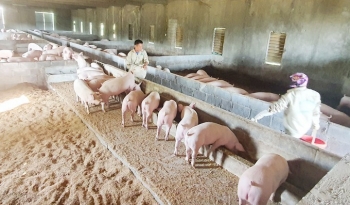 Quảng Ninh: Phát triển các sản phẩm nông nghiệp chủ lực đến năm 2030