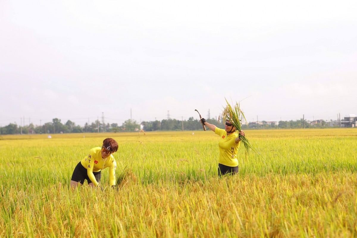 Trực tiếp tham gia vào các hoạt động nông nghiệp