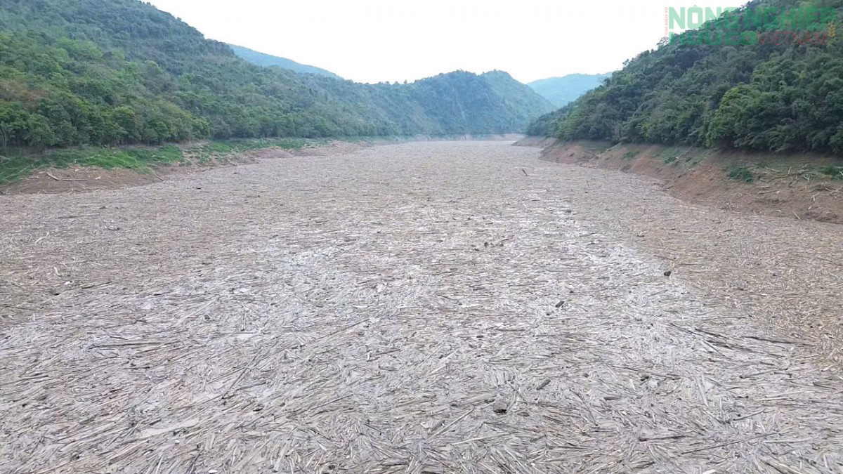 “Bãi rác khổng lồ” trên dòng Nậm Nơn, lòng hồ thủy điện Bản Vẽ