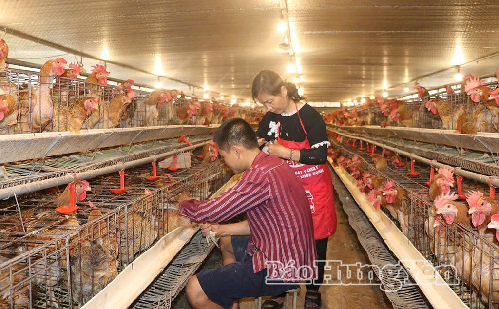 Xã Đức Hợp (Hưng Yên): Đột phá thu nhập nhờ ứng dụng công nghệ cao trong chăn nuôi