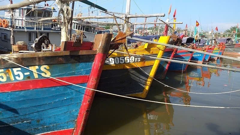 Hải Phòng: Đề xuất chi hàng chục tỷ đồng hỗ trợ giải bản 143 tàu cá