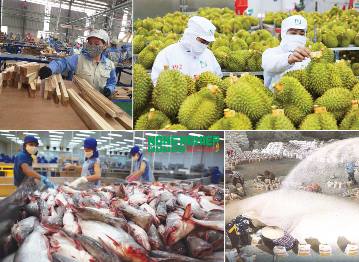 Xuất khẩu nông, lâm, thủy sản vượt 23 tỷ USD: Áp lực chuyển từ sản lượng sang giá trị