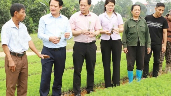 ‘Bản giao hưởng số’ trên đồng đất Đoan Hùng