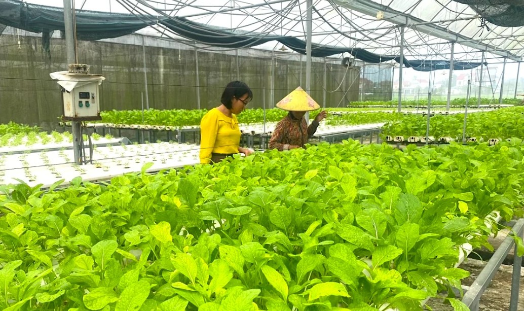 Khi AI số hóa vị ngọt quê hương – Kỳ 3: "Chìa khóa" để xây dựng hệ sinh thái “sống Xanh"”