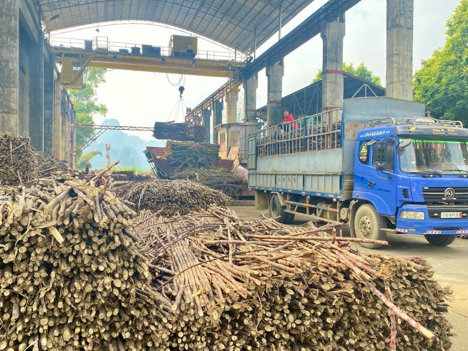 Liên kết sản xuất theo chuỗi giá trị – nâng tầm sản phẩm địa phương