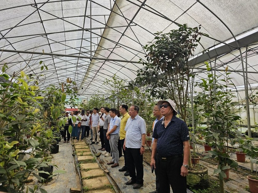 Tầm nhìn chiến lược khơi nguồn lực nâng tầm nông nghiệp Ninh Bình