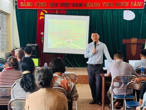 Cao Bằng: Hội thảo triển khai trồng rừng và cây dược liệu dưới tán rừng