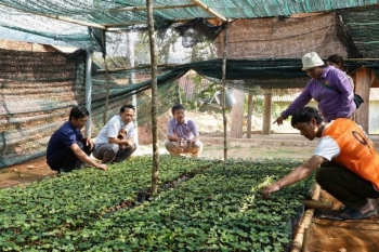 Quảng Ngãi: Thanh niên vùng cao tranh tài kỹ năng số, nông dân thi sản xuất bền vững