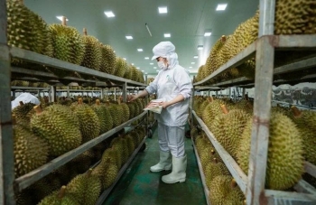 Thông báo kết quả đánh giá phòng thử nghiệm kiểm nghiệm chất vàng O và Cadmium