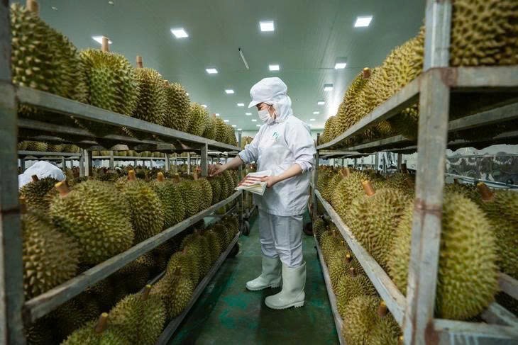 Thông báo kết quả đánh giá phòng thử nghiệm kiểm nghiệm chất vàng O và Cadmium