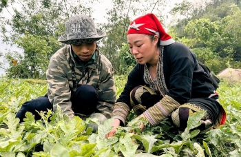 Chuyển mình mạnh mẽ từ tư duy nông nghiệp thông minh