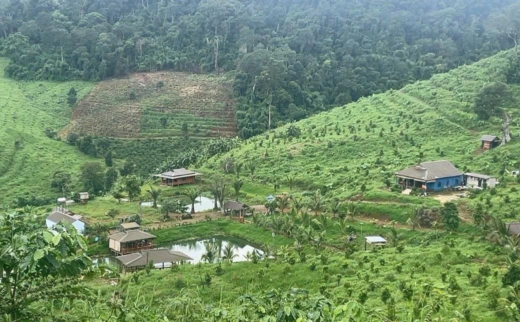 Tăng cường tuần tra, truy quét các đối tượng phá rừng, khai thác và vận chuyển lâm sản trái phép