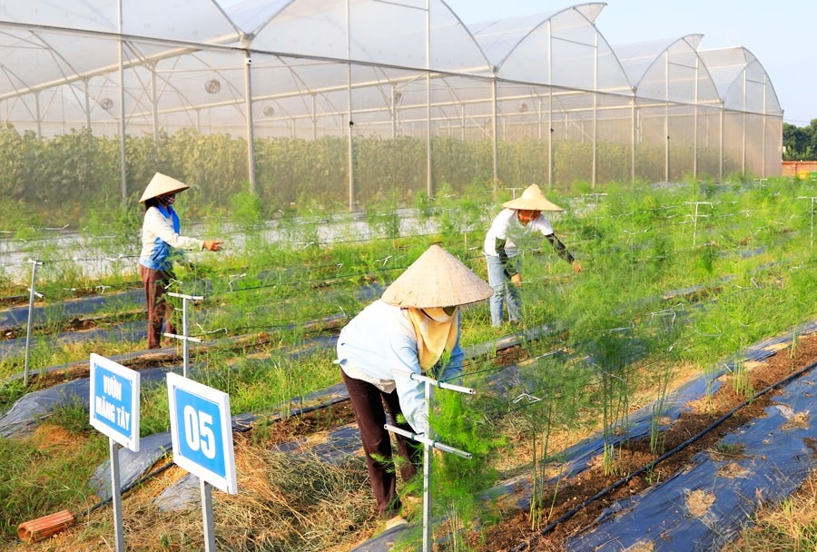 Xuất khẩu nông, lâm, thủy sản vượt 23 tỷ USD: Áp lực chuyển từ sản lượng sang giá trị