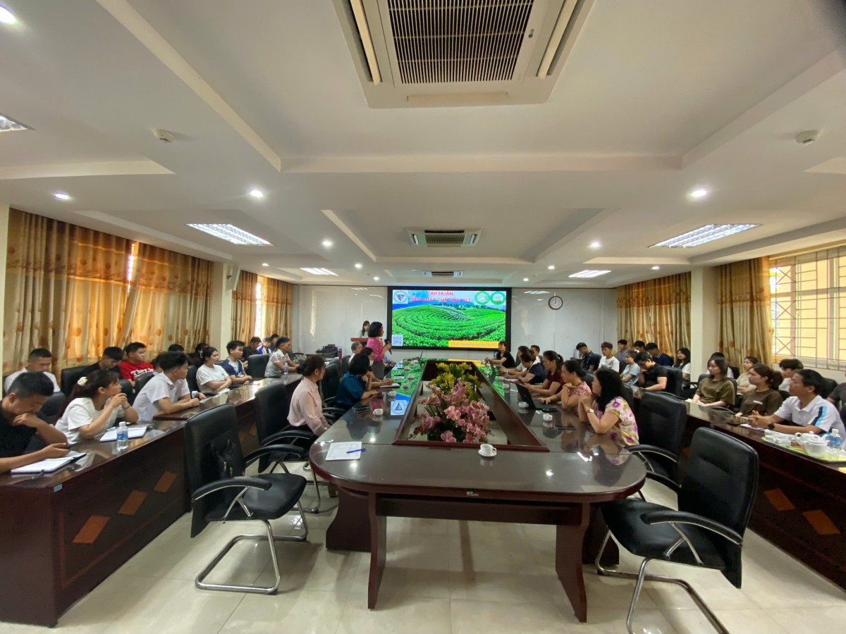 Phát triển chè hữu cơ, nâng tầm thương hiệu “Đệ nhất danh trà” Thái Nguyên