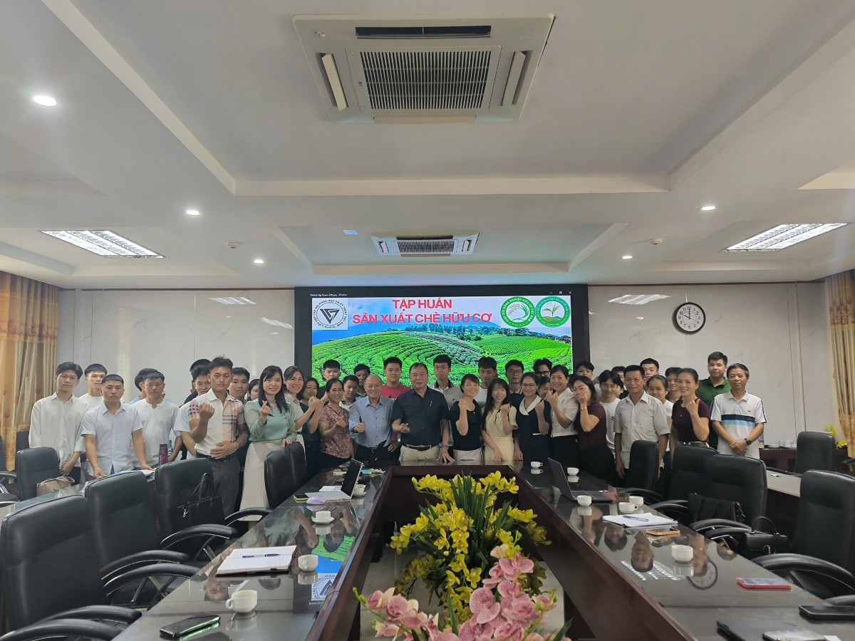 Phát triển chè hữu cơ, nâng tầm thương hiệu “Đệ nhất danh trà” Thái Nguyên
