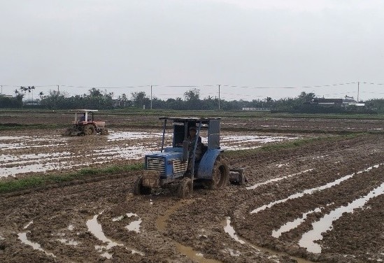 Quảng Trị: Triển khai các biện pháp chuẩn bị cho vụ Hè -Thu năm 2026