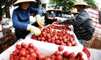 Bắc Ninh đẩy mạnh truy xuất nguồn gốc nông, lâm, thủy sản giai đoạn 2026 - 2030