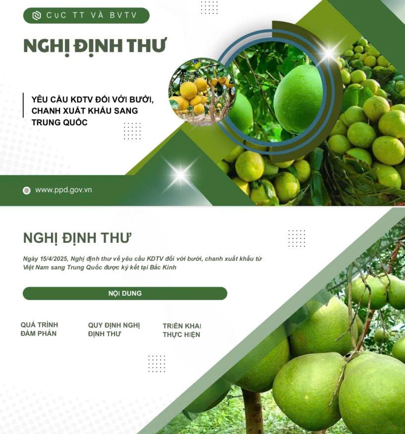 Trung Quốc cập nhật quy định đăng ký doanh nghiệp thực phẩm nhập khẩu