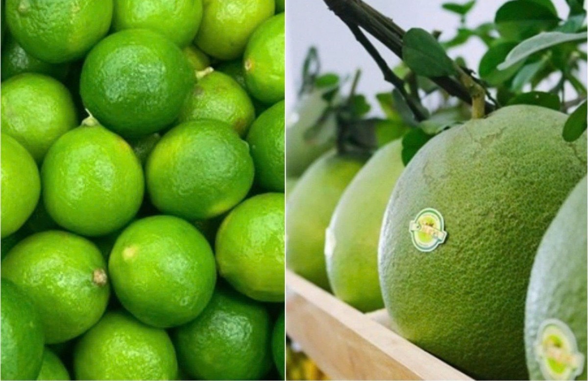 Rộng mở đường chính ngạch cho bưởi tươi và chanh tươi sang Trung Quốc