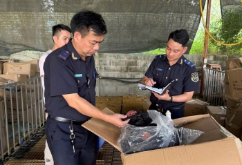 Hải quan liên tiếp phát hiện hàng nghìn sản phẩm nghi giả mạo nhãn hiệu nổi tiếng