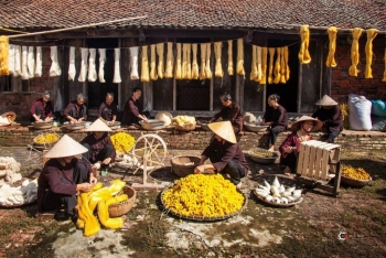 Phát triển nông nghiệp sinh thái - Xu thế tất yếu