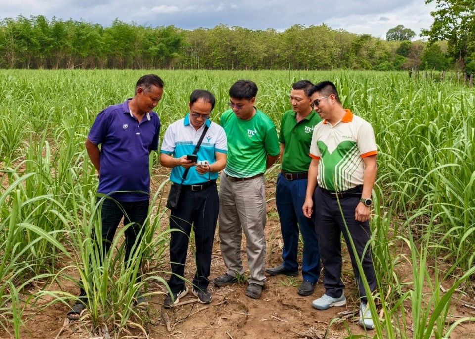 PVFCCo lập "cú đúp" tại Việt Nam I4 Impact Awards 2026