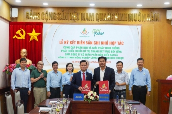 Phân bón Miền Nam và cái "bắt tay" chiến lược để phát triển bền vững chanh dây vàng