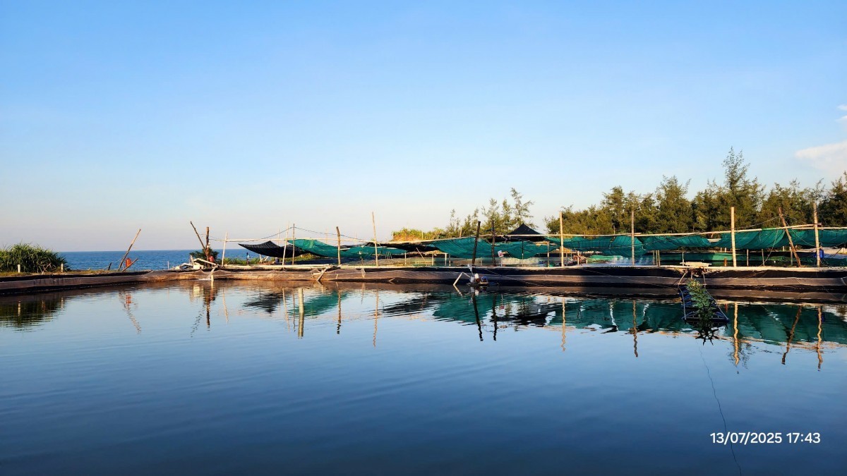 Tp. Huế: Chủ động ứng phó diễn biến môi trường, bảo đảm an toàn nuôi trồng thủy sản