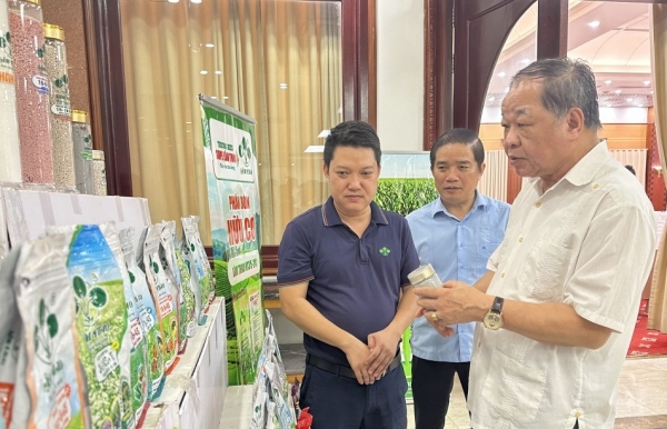Ngành phân bón Việt Nam trước yêu cầu tự chủ, xanh hóa và nâng cao năng lực cạnh tranh