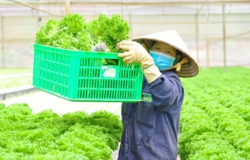 Truyền thông và sứ mệnh lan tỏa nhận thức đúng về nông nghiệp hữu cơ