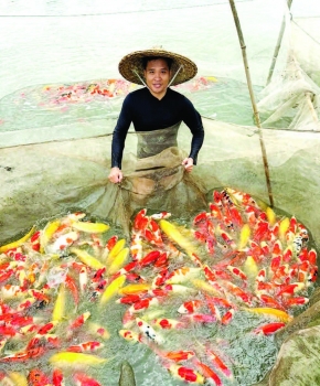 Người nông dân xuất sắc và ước mơ “giáo dục sinh thái” cho mọi lứa tuổi
