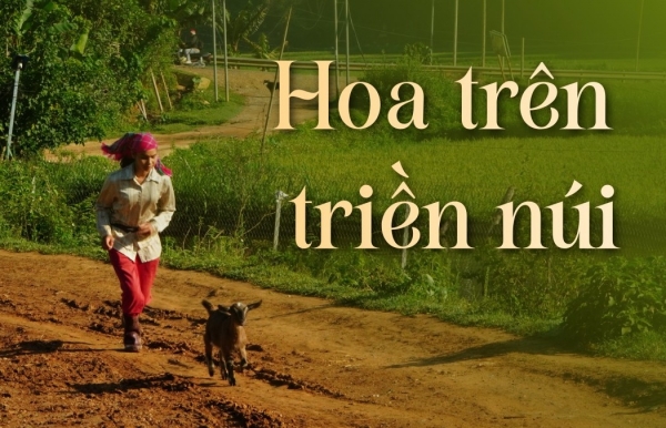 Hoa trên triền núi