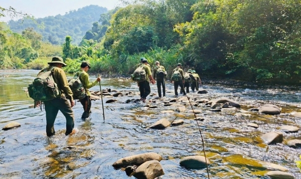 Yêu cầu Hạt Kiểm lâm Đức Trọng kiểm điểm, rút kinh nghiệm về xử lý VPHC trong lĩnh vực lâm nghiệp