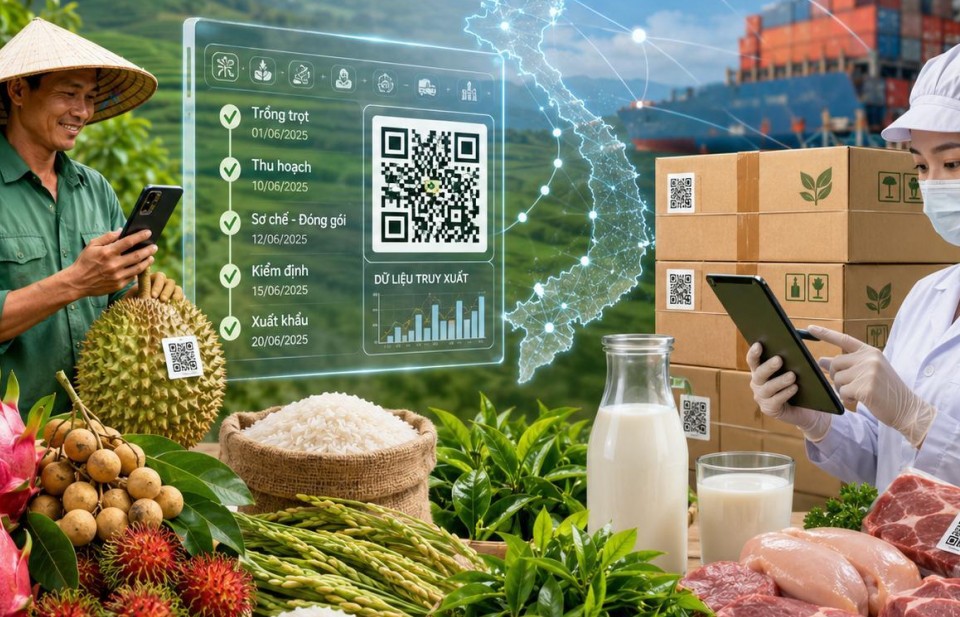 Truy xuất nguồn gốc nông sản: "Tấm hộ chiếu số" đưa nông sản Việt vươn ra thị trường toàn cầu