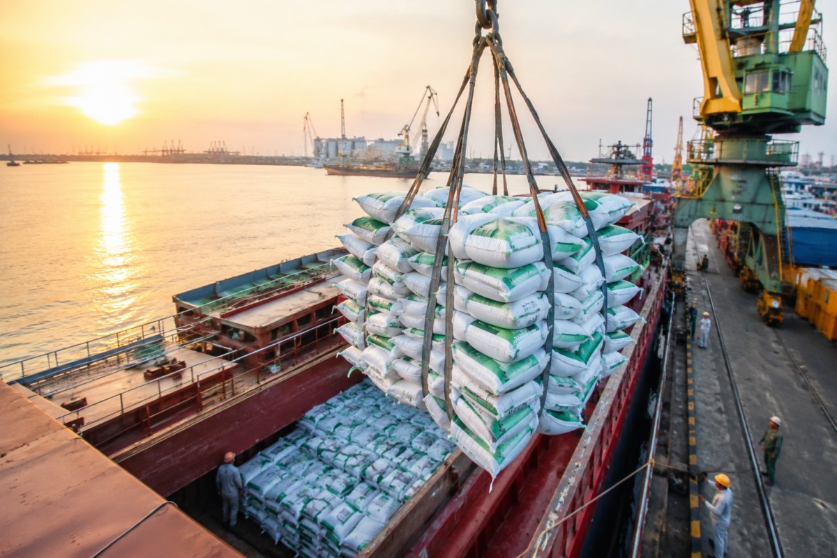 Xuất khẩu phân bón sang ASEAN tăng hơn 21%, nhiều thị trường bứt phá