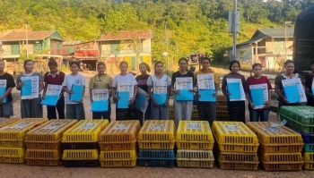 Quảng Trị: Triển khai mô hình chăn nuôi Gà Ri lai tại hai xã Trường Sơn và Dân Hóa