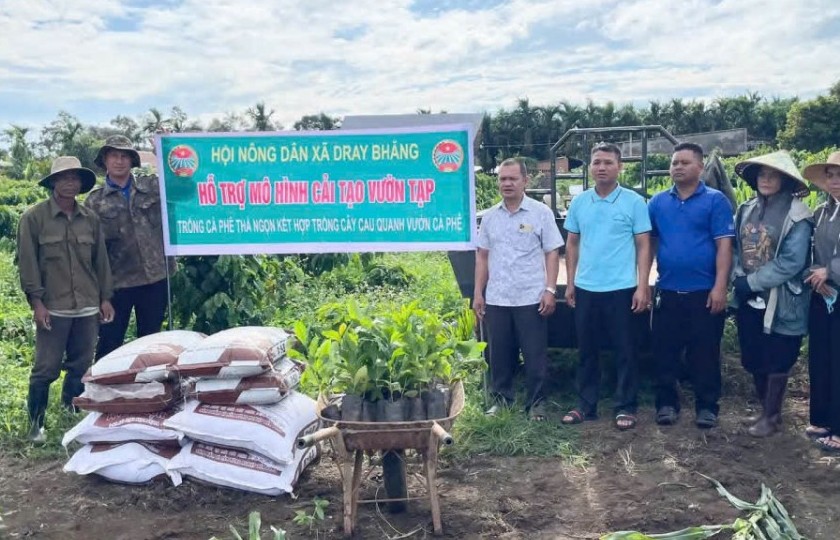 Dray Bhăng ra mắt mô hình “cải tạo vườn tạp” kỹ thuật trồng cà phê thả ngọn