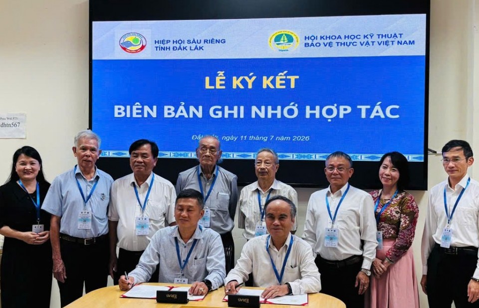 Đắk Lắk thúc đẩy nghiên cứu, chuyển giao công nghệ ngành sầu riêng phát triển bền vững