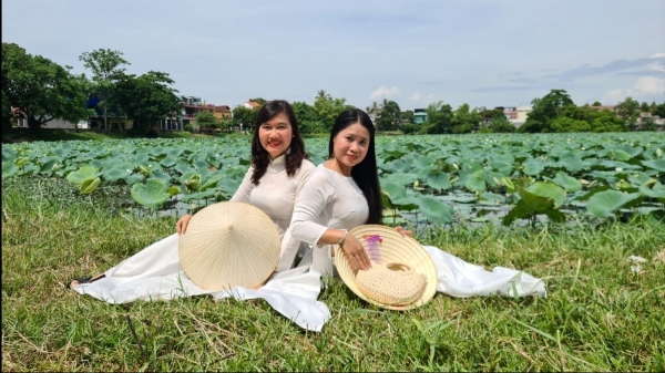 Nâng tầm giá trị sen Huế gắn với xây dựng thương hiệu