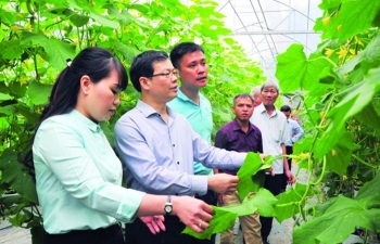 Rời phố về quê làm nông nghiệp - Một hành trình lập nghiệp mới